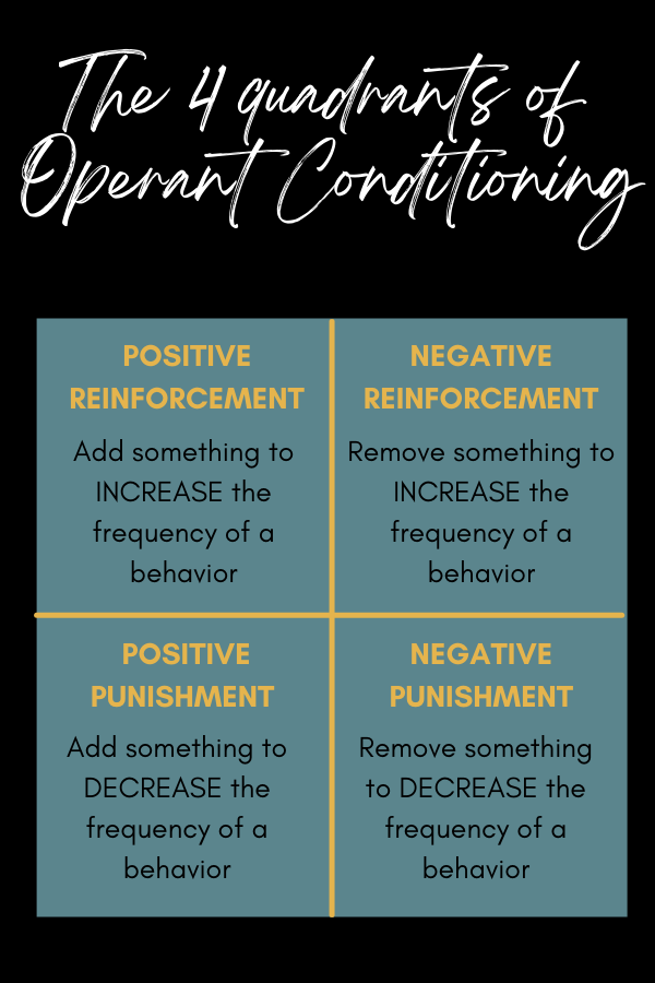 4 quadrants of operant conditioning