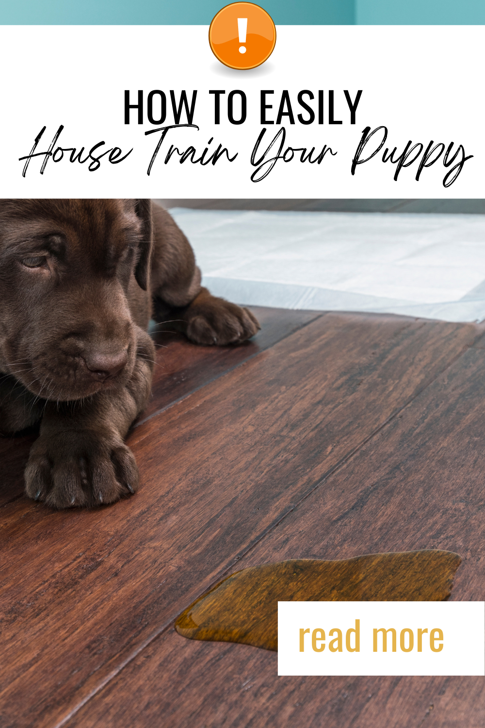 how to house train your puppy
