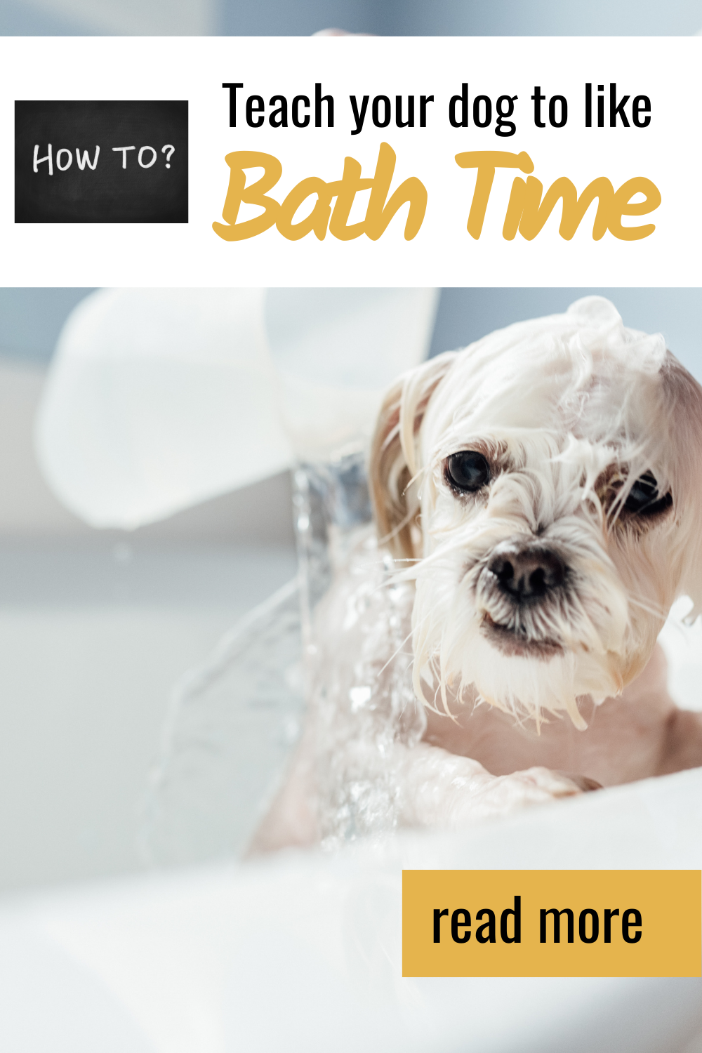 How to Teach Your Dog to Like Baths