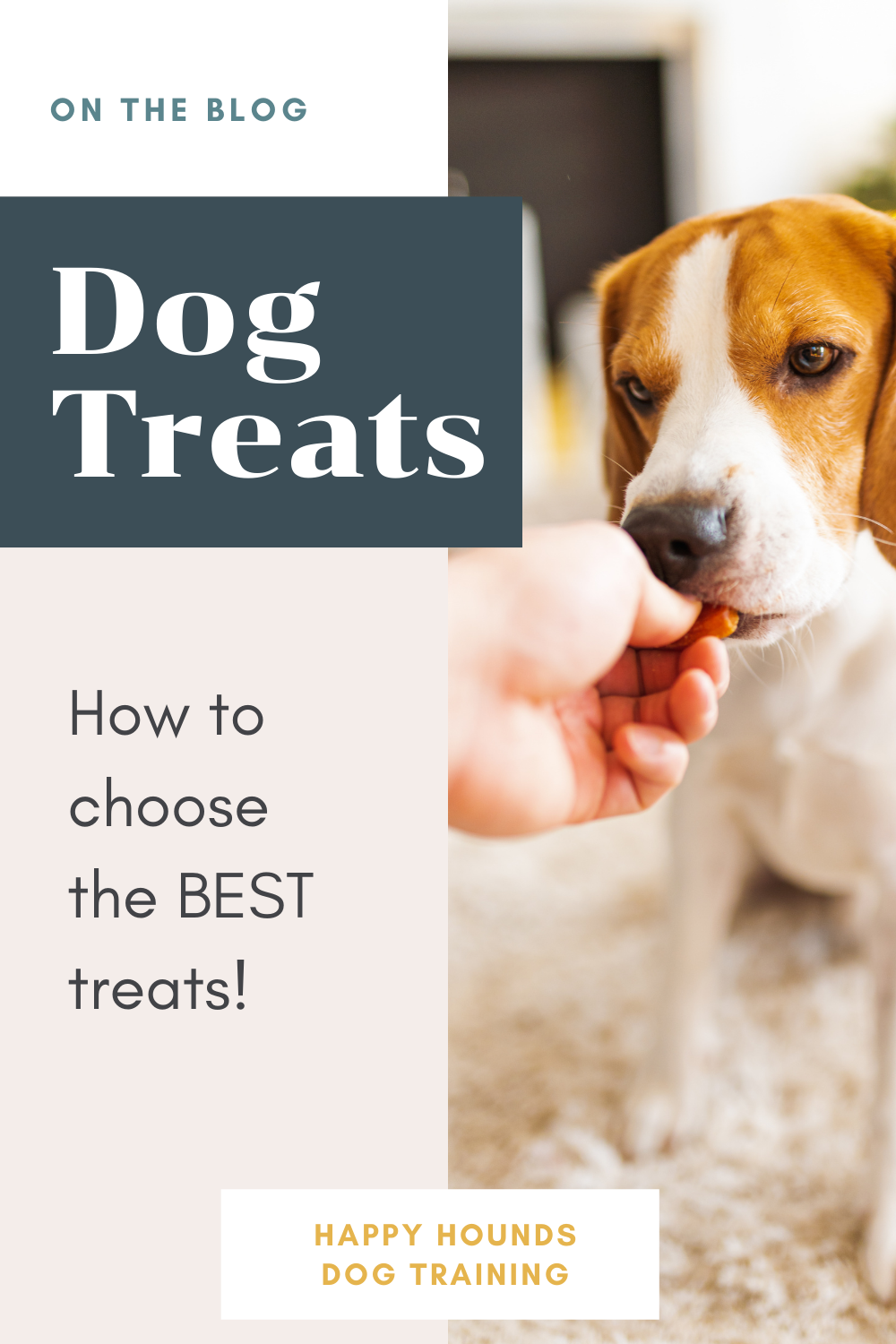 How to Choose the Best Dog Treats