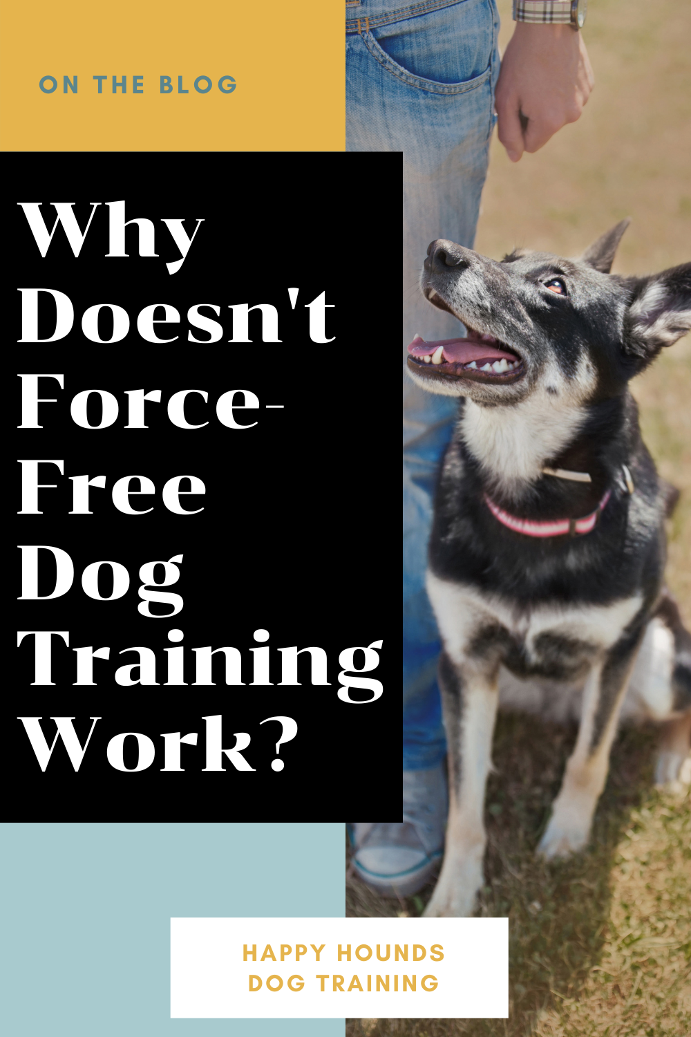 positive reinforcement dog training doesn't work