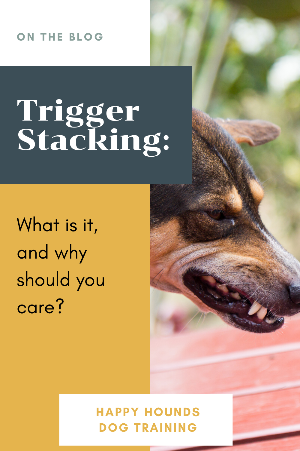 Dog trigger stacking