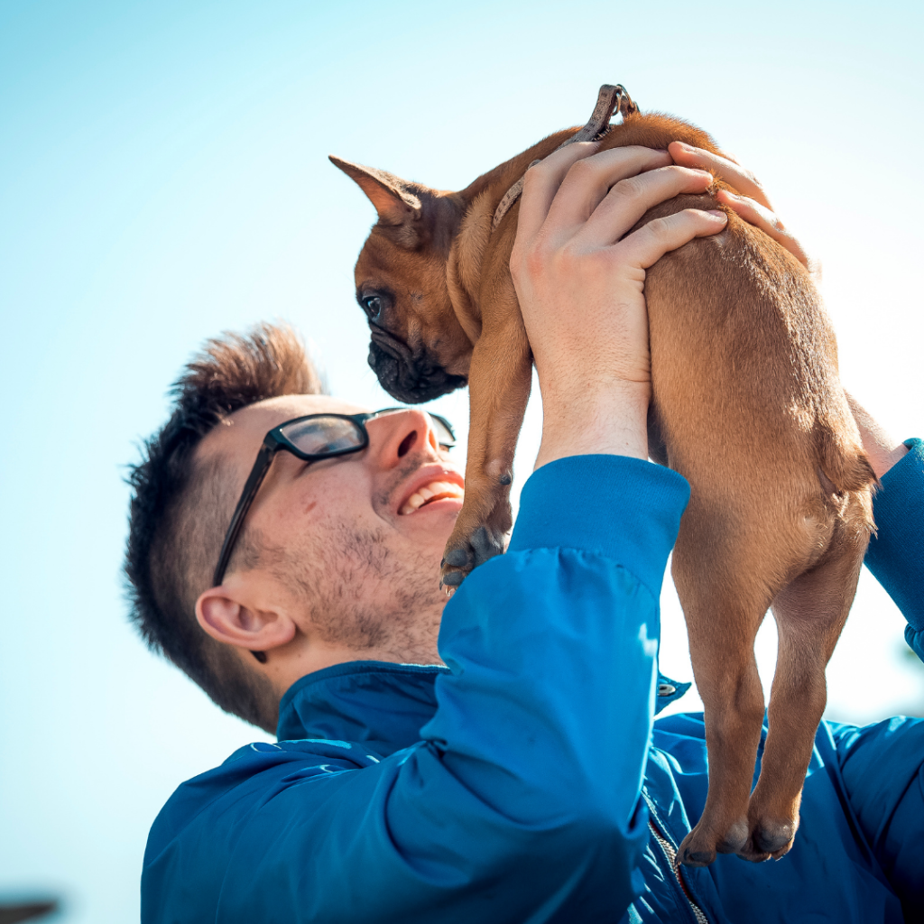 How to introduce a dog to new people (don't do this)