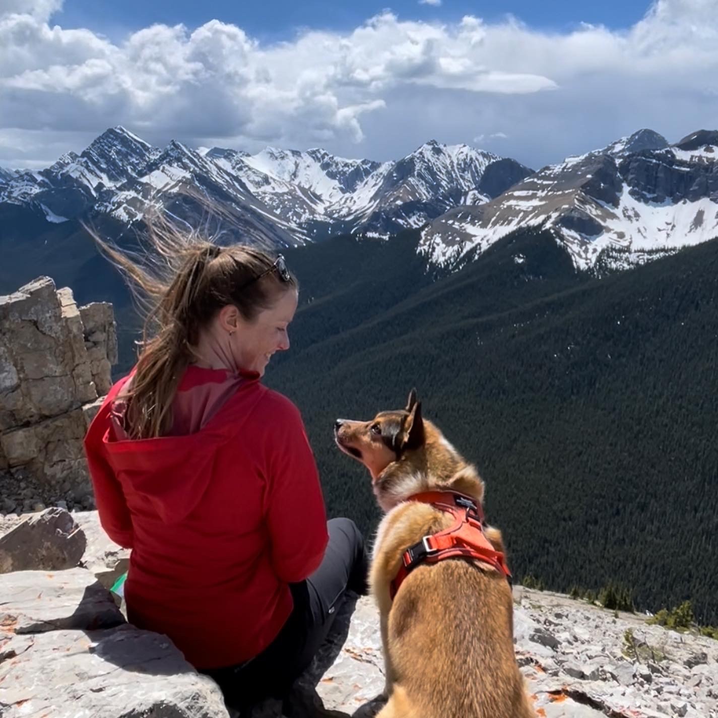Tips for hiking with your dog