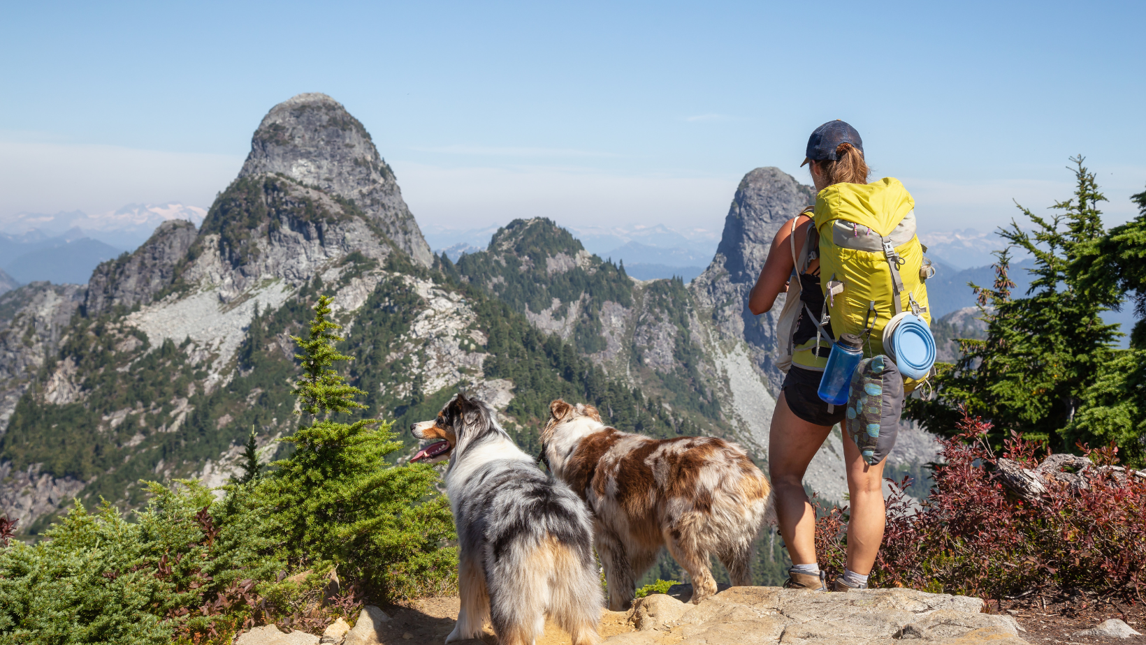 Tips for hiking with your dog
