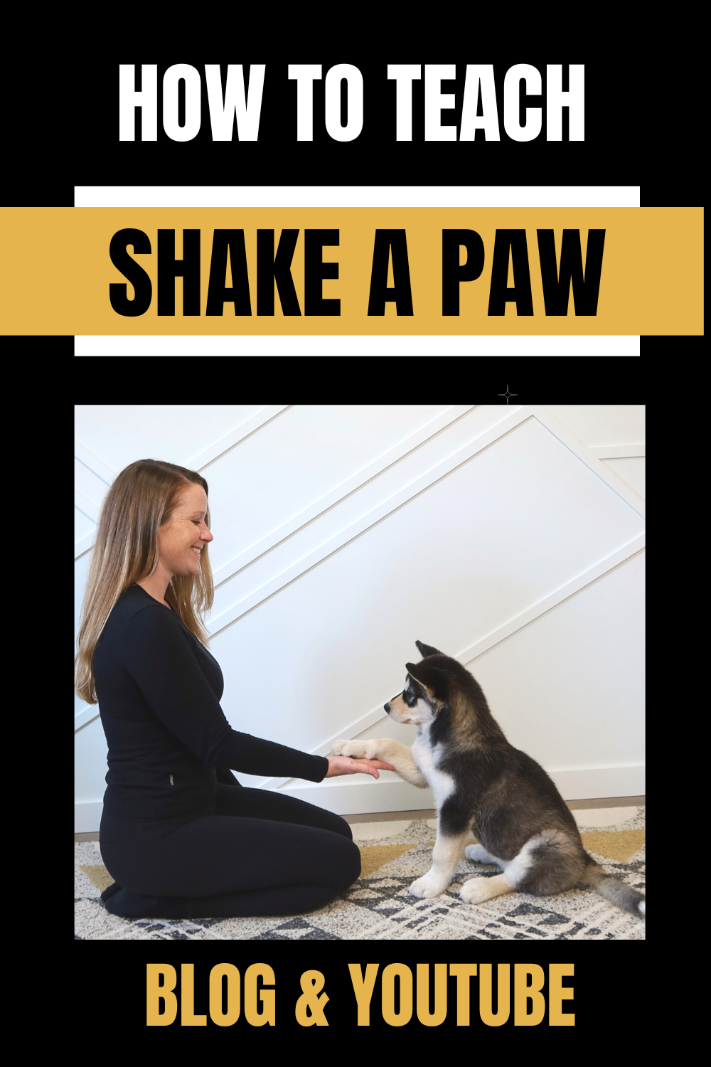 How to teach your dog to shake a paw