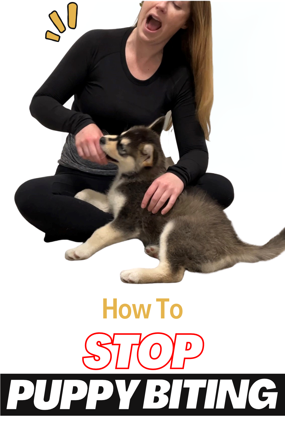 How to stop puppy biting