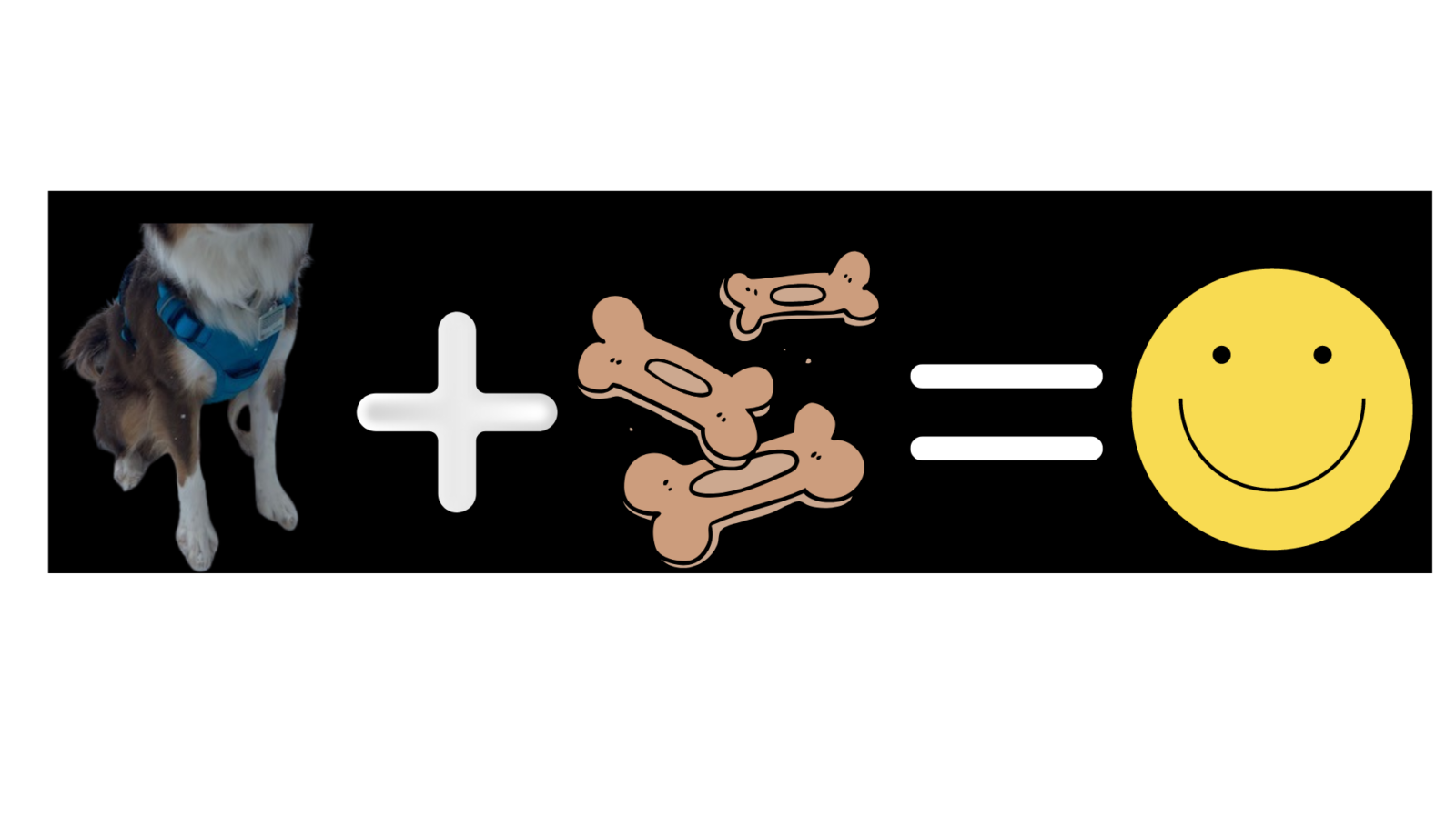 Picture of Harness Conditioning: How to fix dog harness fear - Showit Blog
