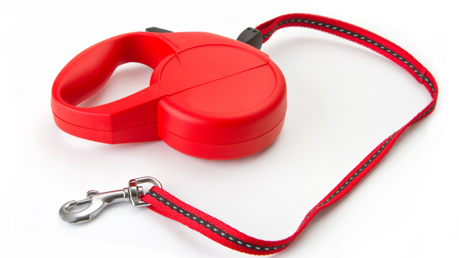 Why Your Dog Pulls on Leash & How to Fix it Showit Blog