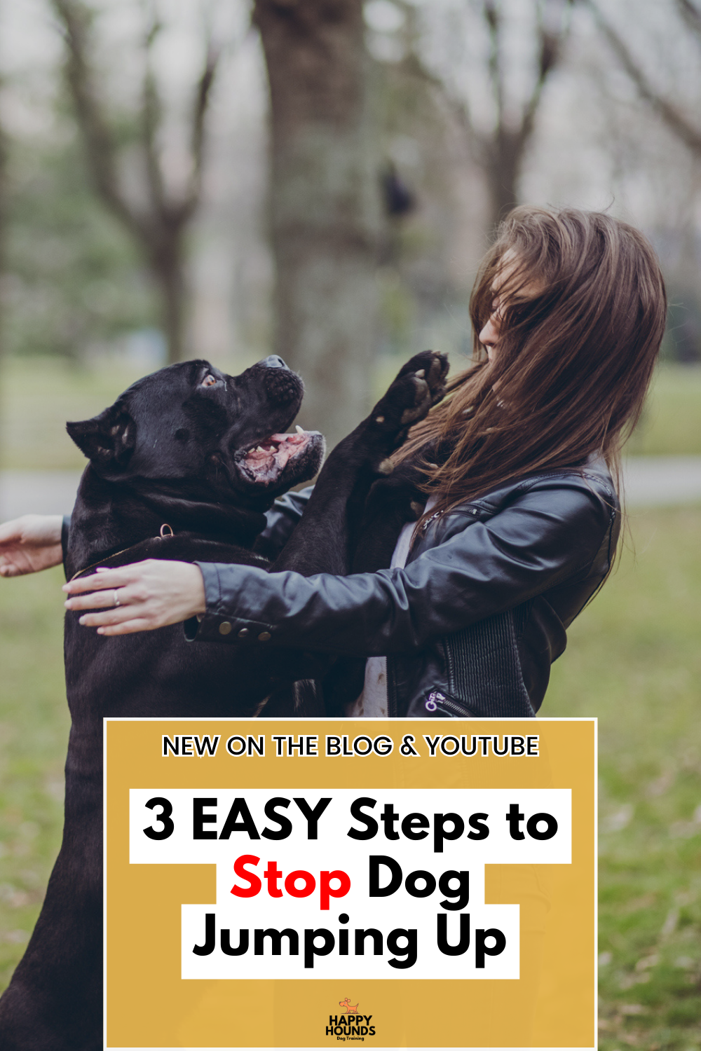 It can be really frustrating, embarrassing, AND dangerous if you have a dog that’s always jumping up. I want to share my easy, force free 3 step method for stopping dog jumping! Link takes you to blog & YouTube tutorials.