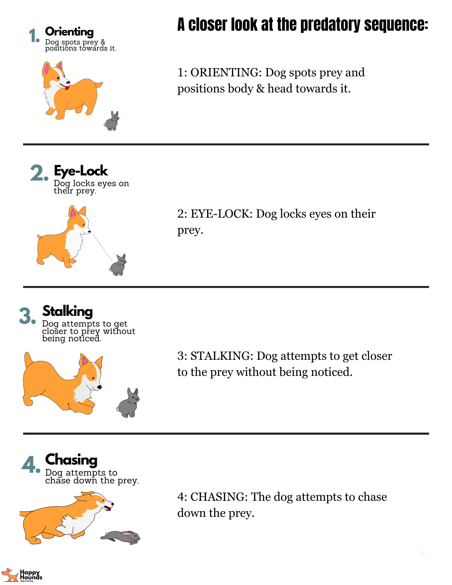 What Is Dog Prey Drive? Showit Blog