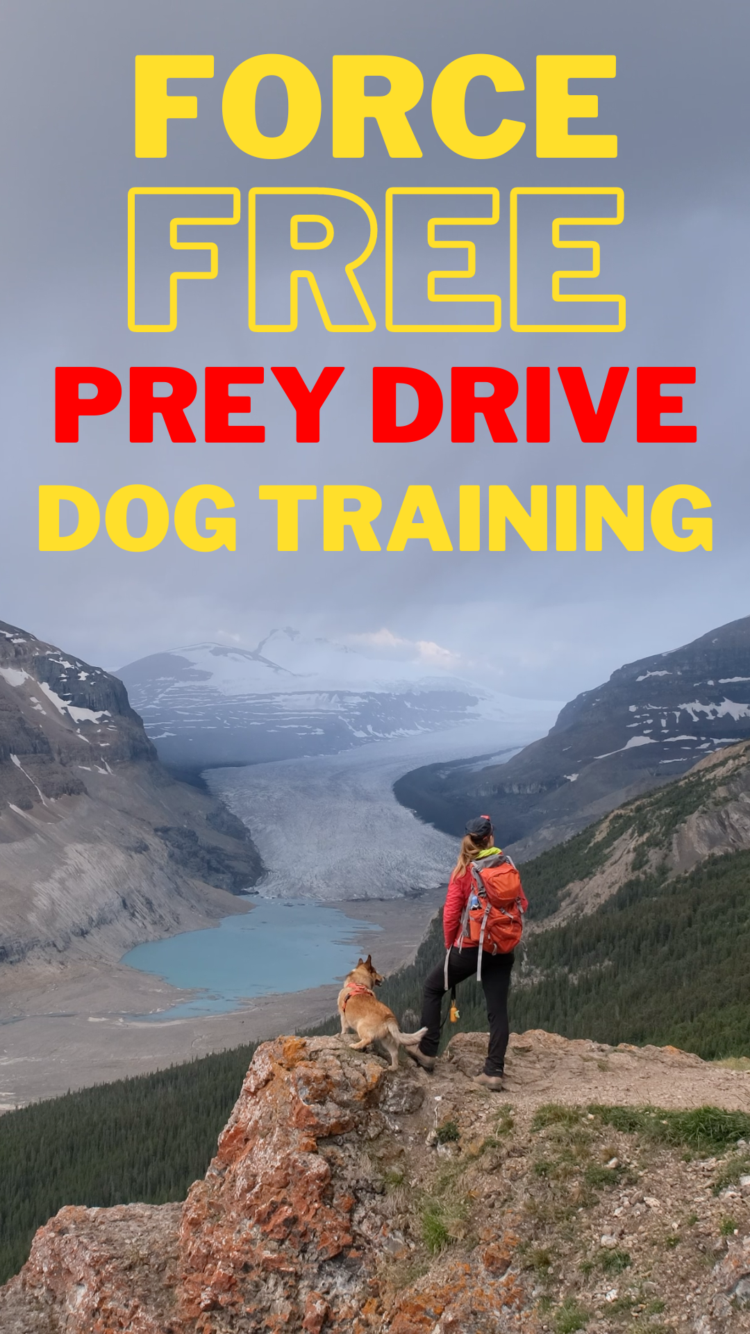force free dog prey drive training