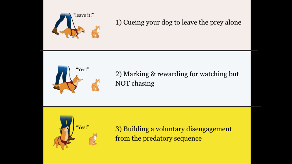 dog prey drive training 3-phase plan