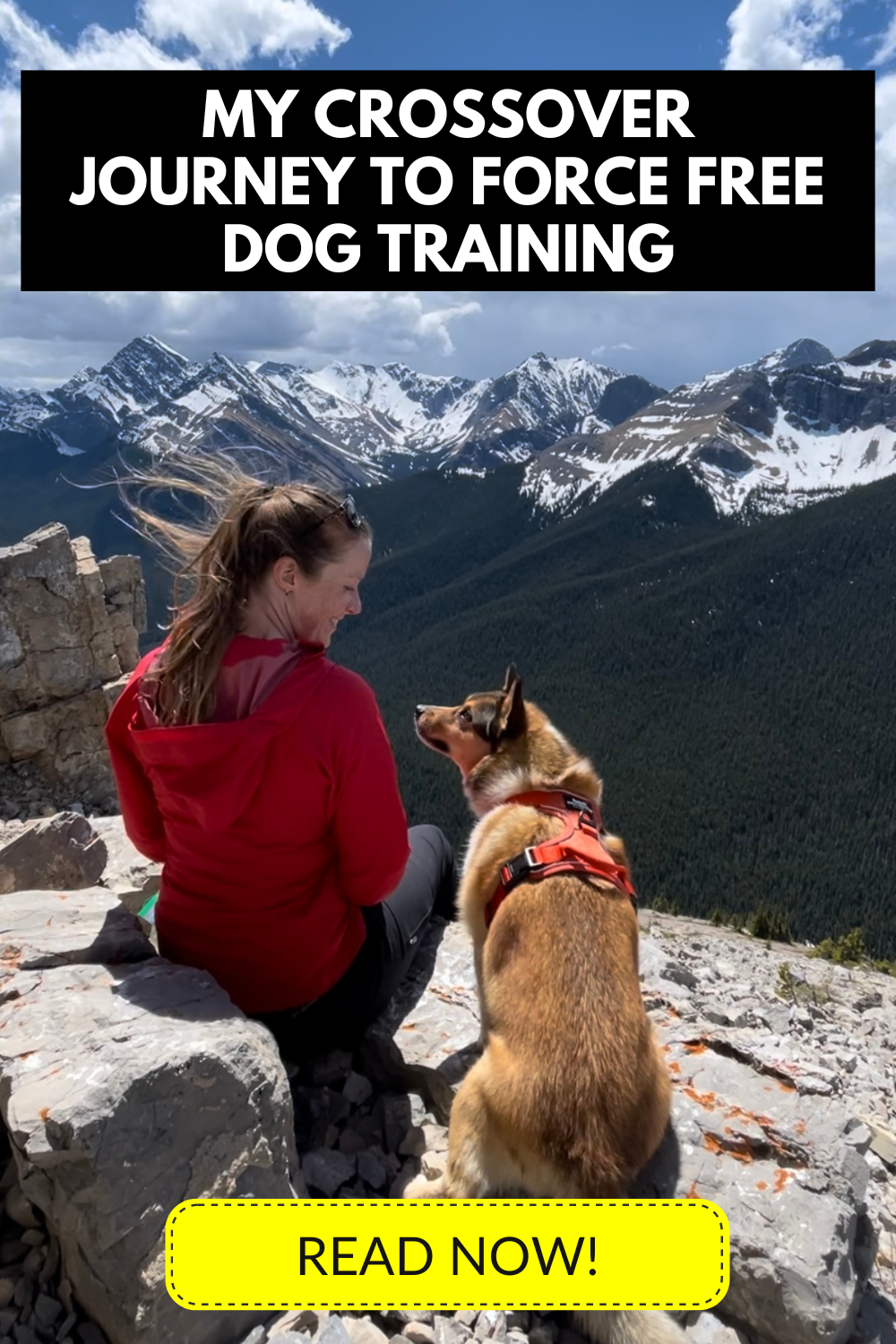 My Crossover Journey from Aversive to Force Free Dog Training