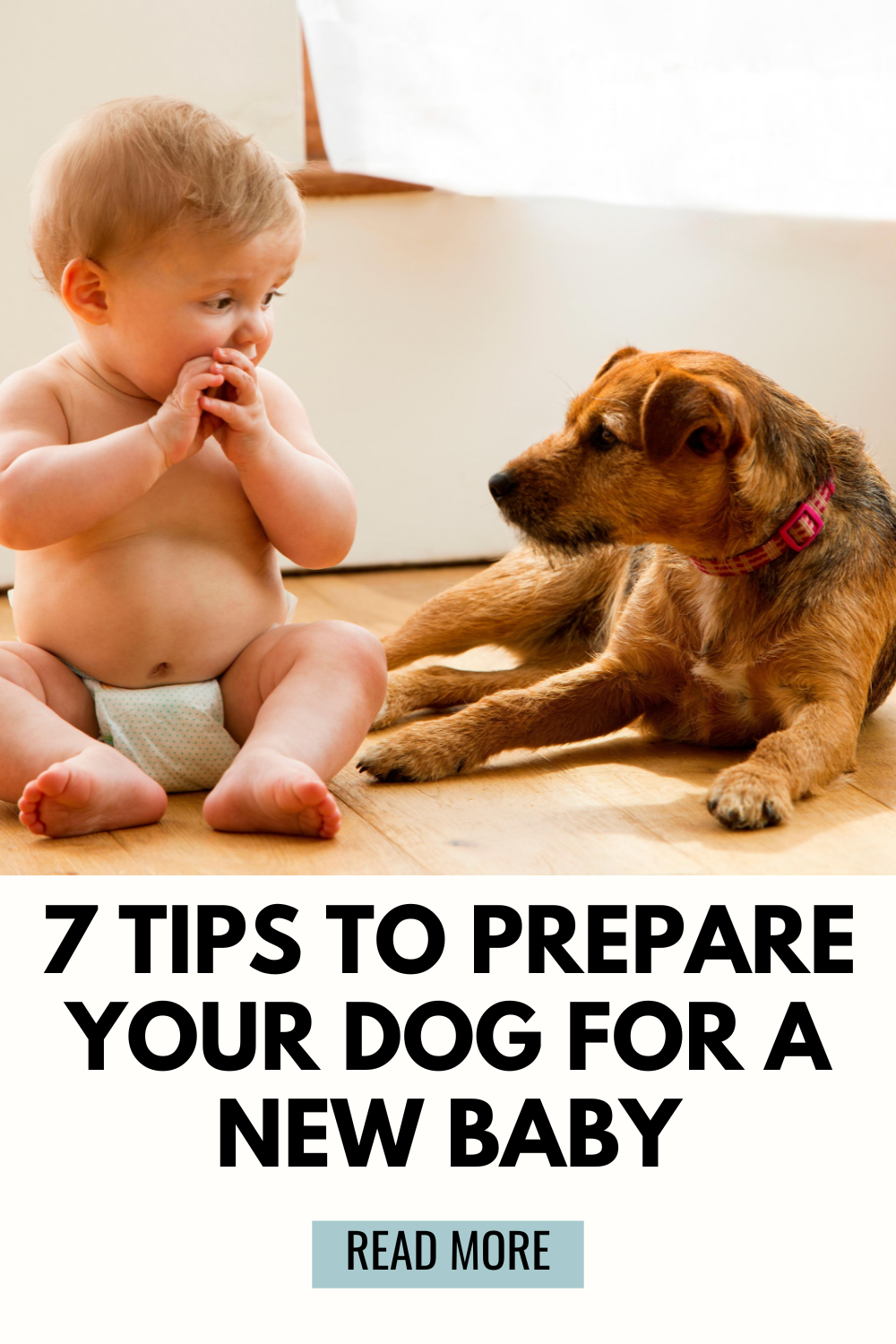 7 Tips to Prepare Your Dog for a New Baby