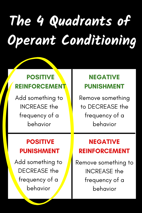 the 4 quadrants of operant conditioning