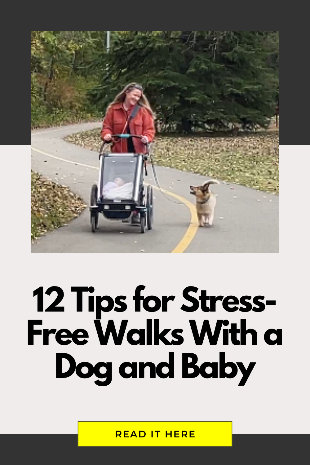 my top tips to make walks with a dog and baby less stressful!