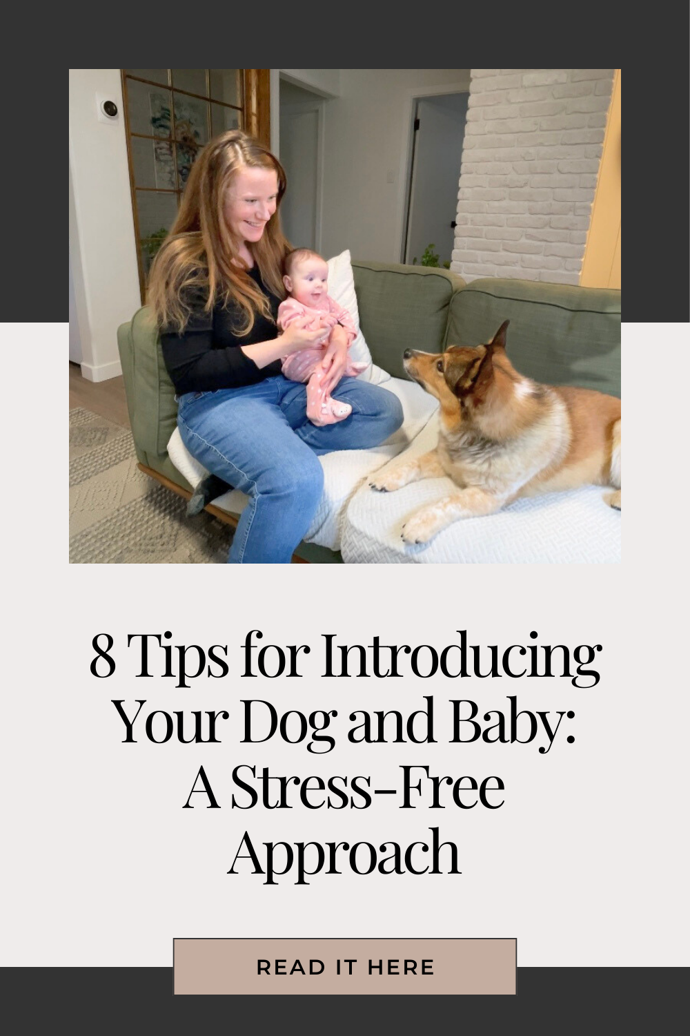 8 Tips for Introducing Your Dog and Baby: A Stress-Free Approach