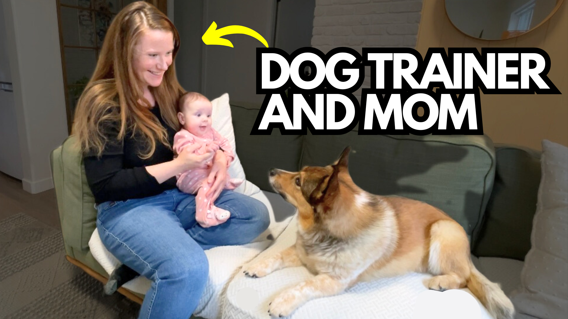 8 Tips for Introducing Your Dog and Baby: A Stress-Free Approach