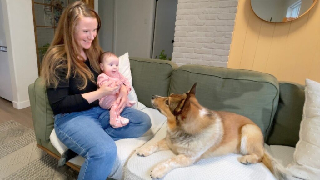 feeling guilty I can't offer my dog as much time after having a baby... here's what helped