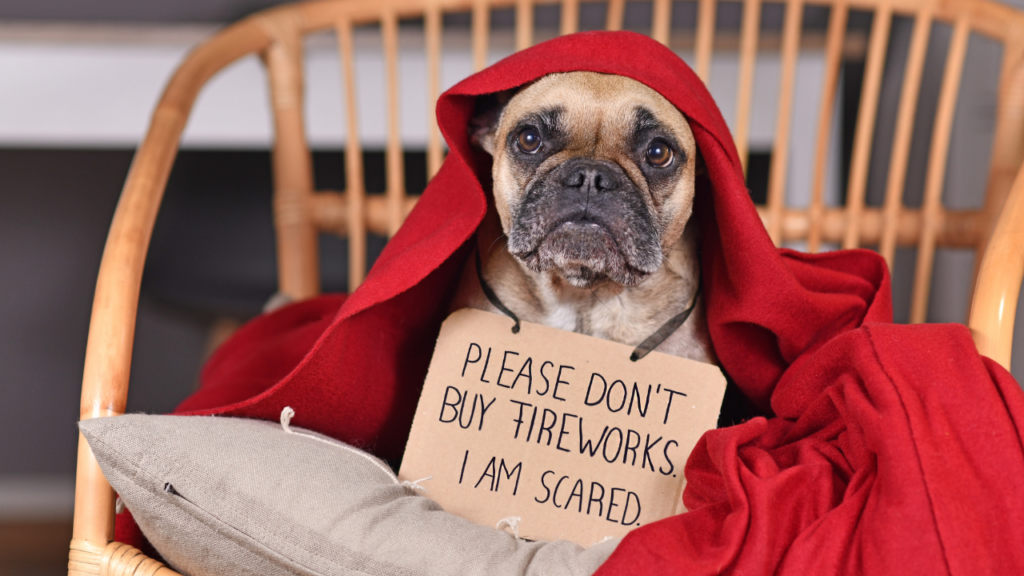 8 Tips to Keep Your Dog Safe During Fireworks