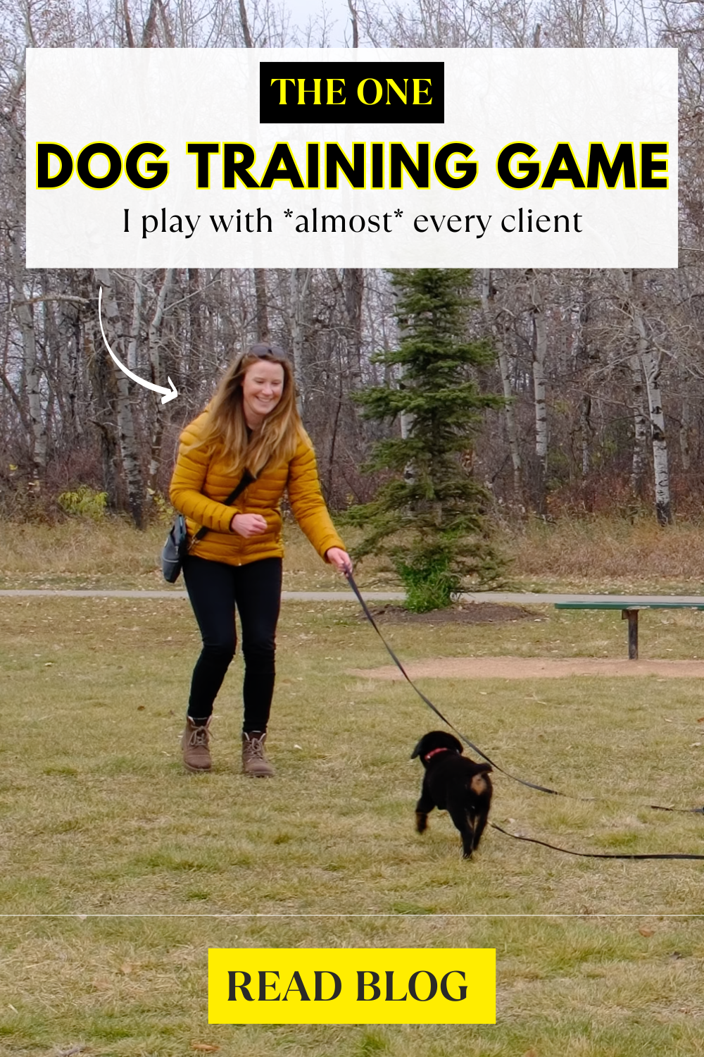 the one dog training game I play with almost every client