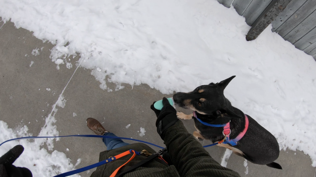 4 Ways to Reward Your Dog On Cold Walks Without Freezing Your Hands Off: silicone squeeze tube