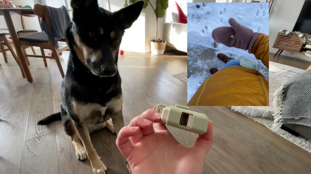 4 Ways to Reward Your Dog On Cold Walks Without Freezing Your Hands Off: ez treat dispenser