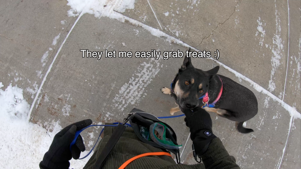 electric gloves = winter dog walk game changer