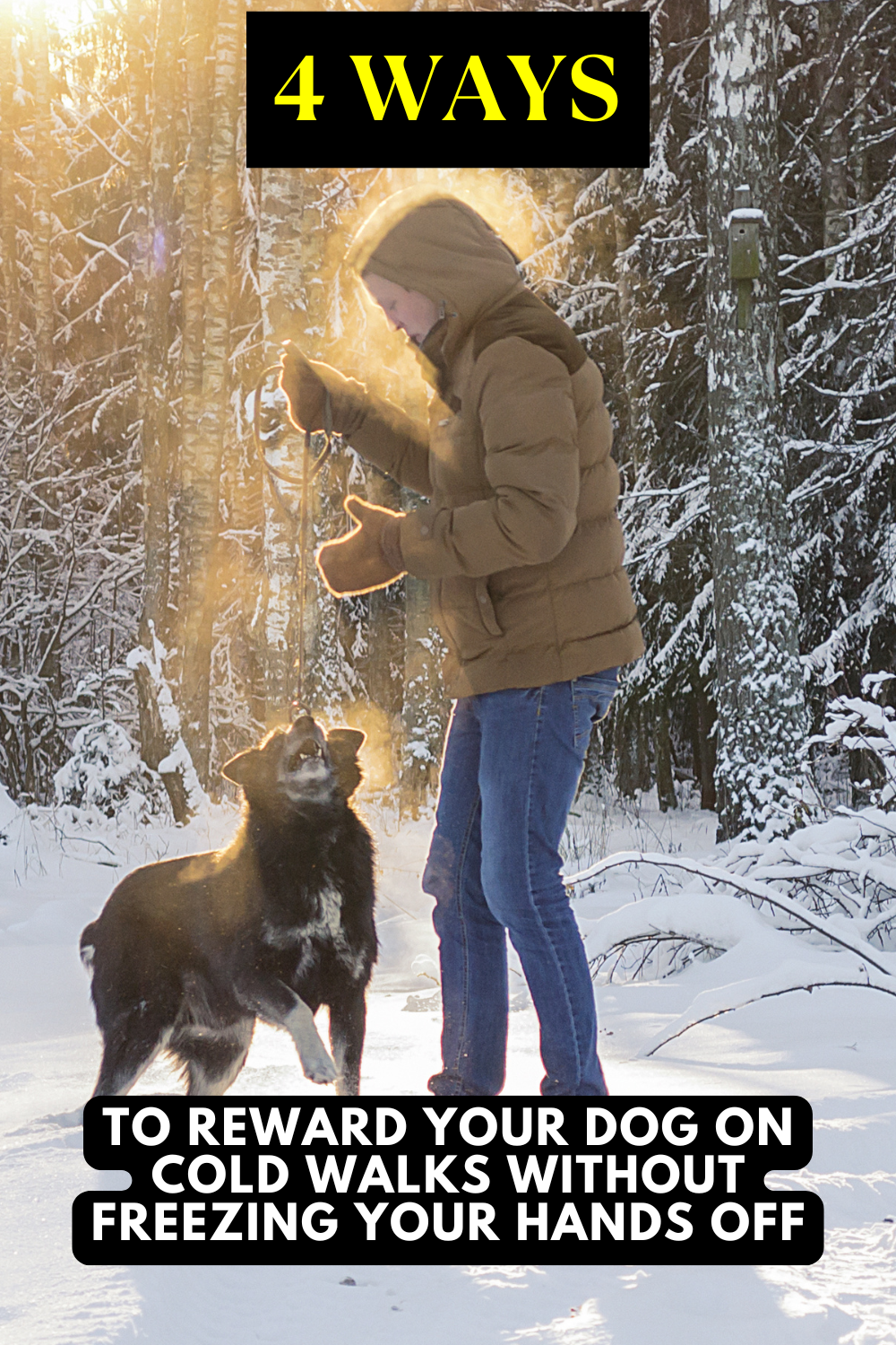 4 Ways to Reward Your Dog On Cold Walks Without Freezing Your Hands Off