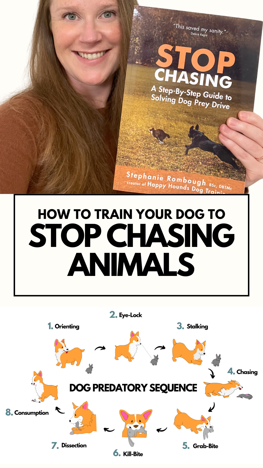 How to Train Your Dog to STOP Chasing Animals