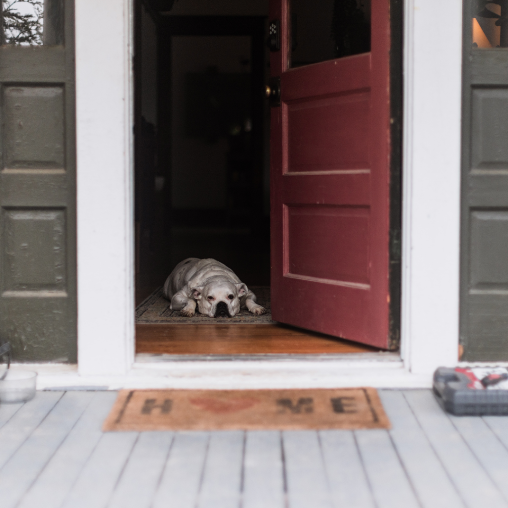 Dog threshold