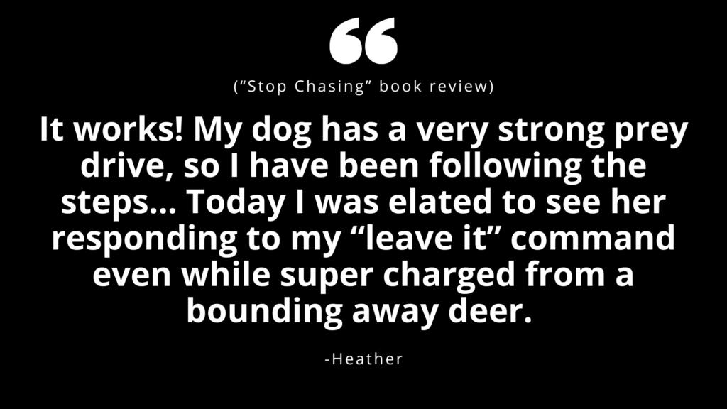 Review of "Stop Chasing: A Step-By-Step Guide to Solving Dog Prey Drive"