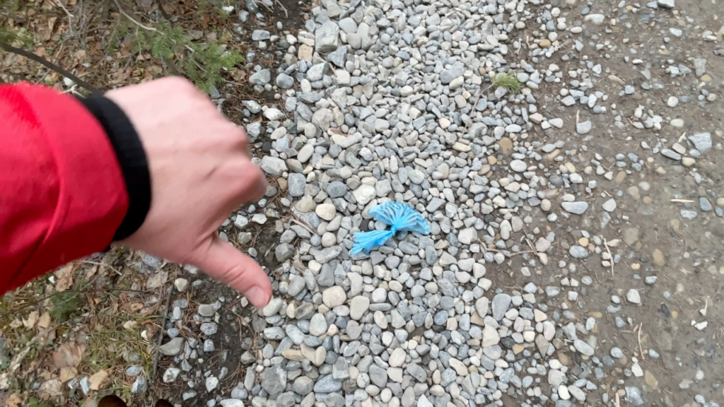 dog poop on trail