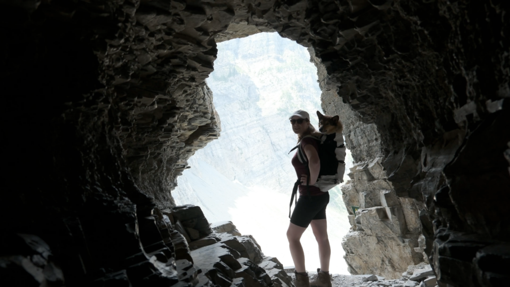 12 tips for hiking with your dog