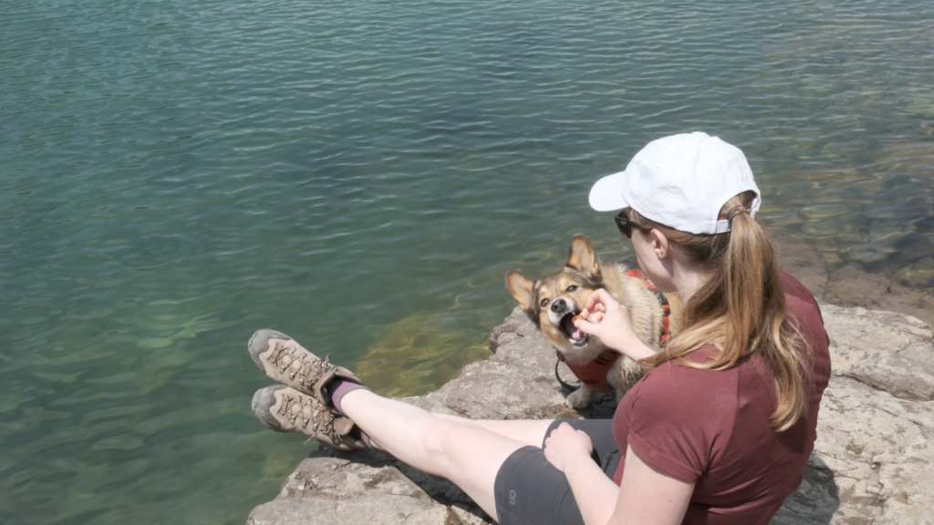 tips for hiking with a dog