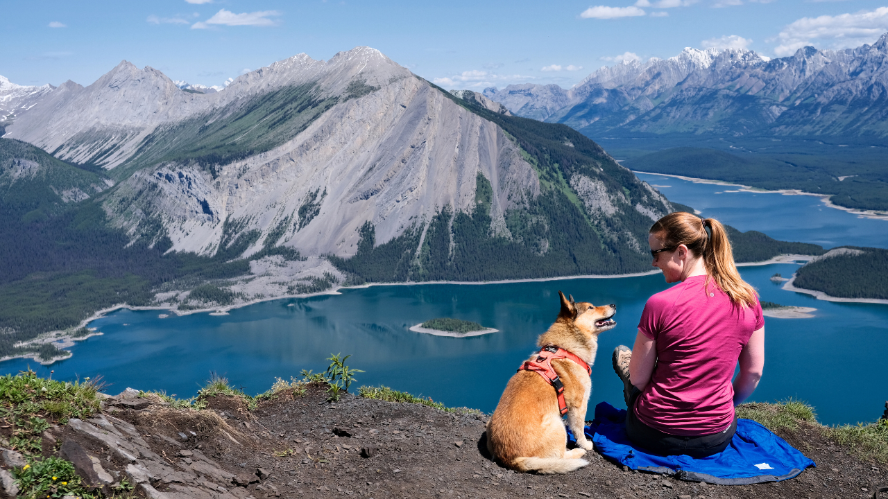 12 tips for hiking with your dog