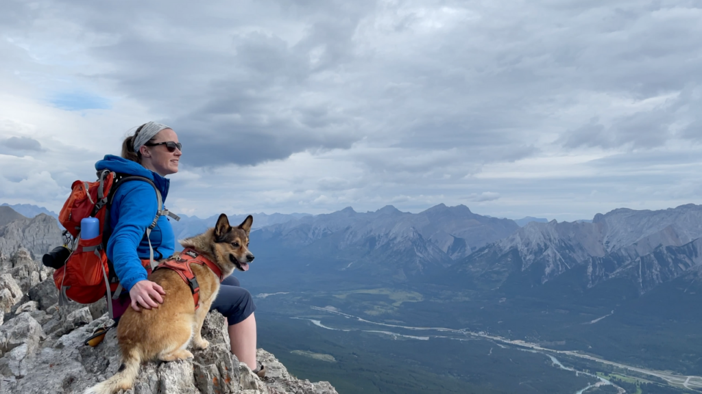 12 tips for hiking with your dog