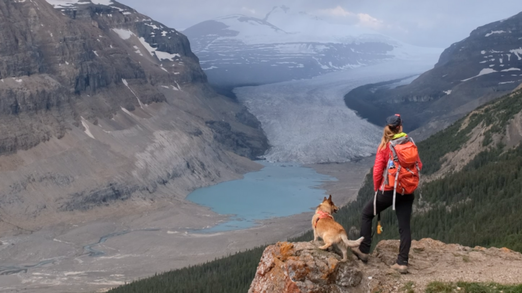 12 tips for hiking with your dog
