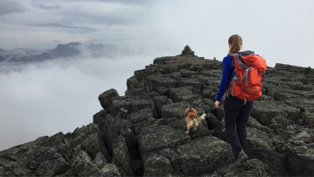 12 tips for hiking with your dog