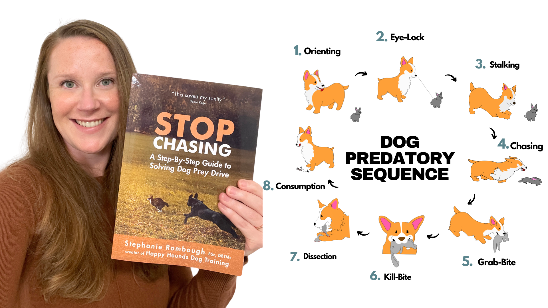 How to train your dog to stop chasing animals