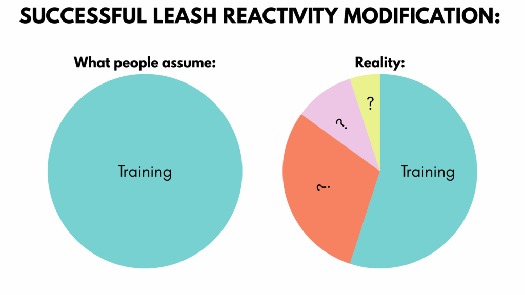 leash reactivity modification