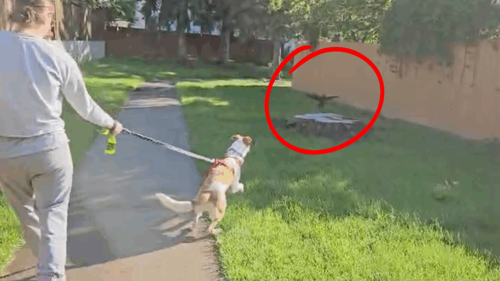 what does leave it mean