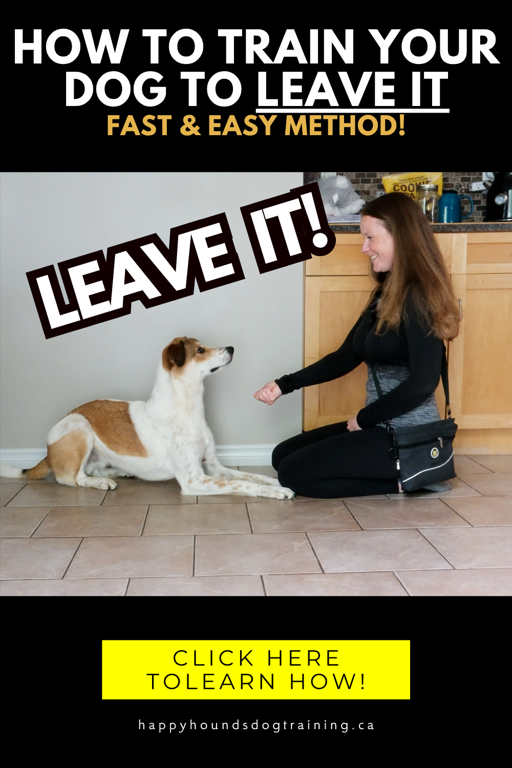 How to Train Your Dog to LEAVE IT – Fast & Easy Method!