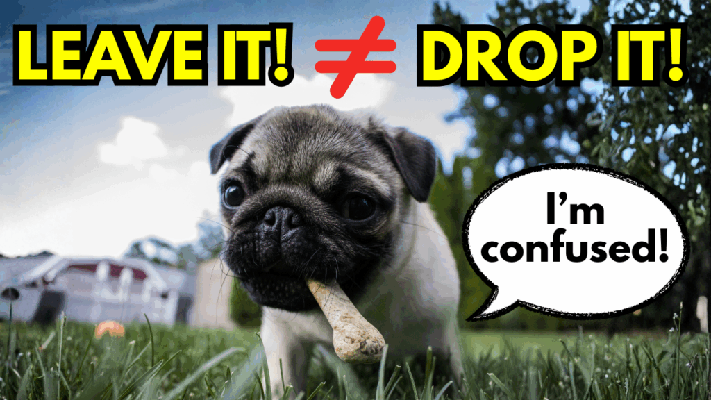 Leave It vs Drop It – Are You Confusing Your Dog?