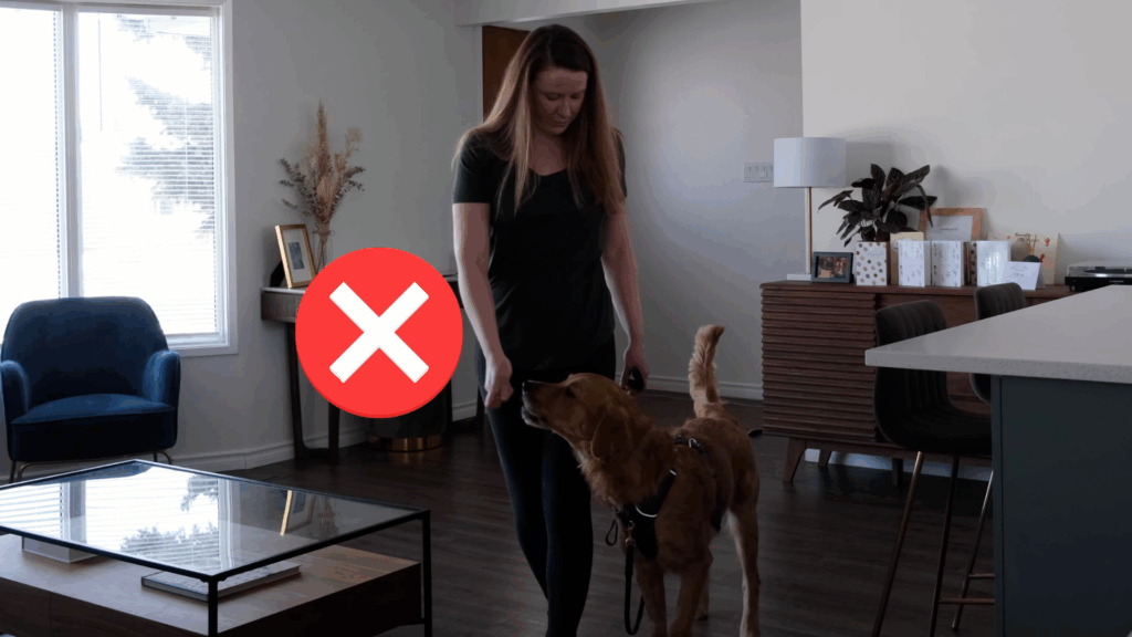 heel training mistake