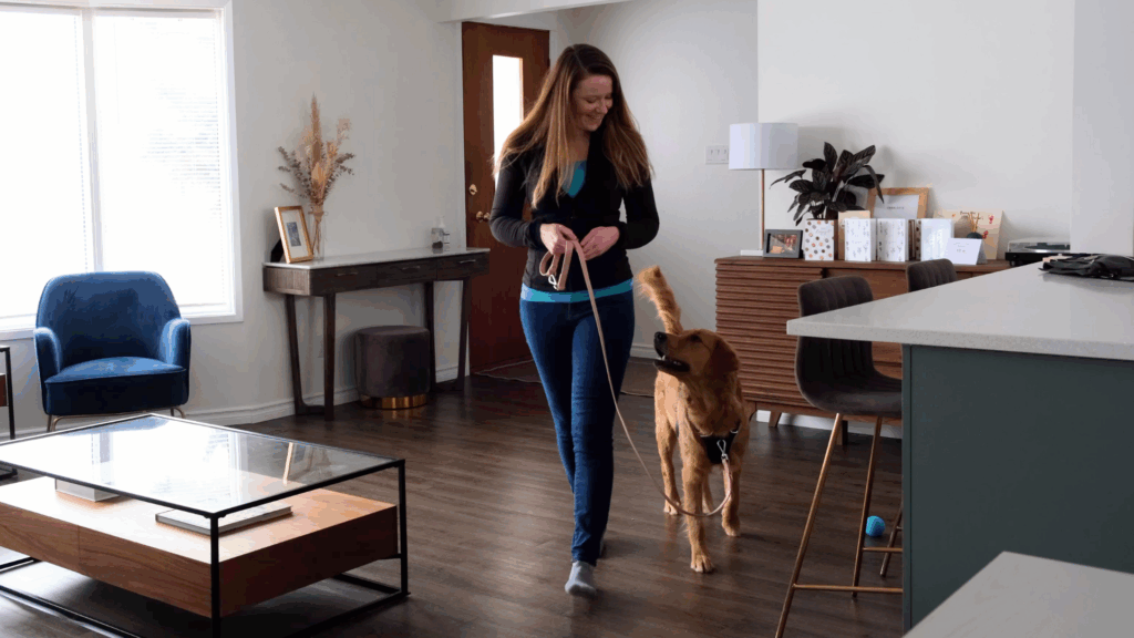 how to train a dog to heel