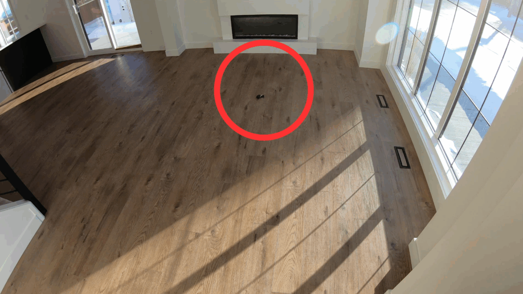 how reward-based leash training should look