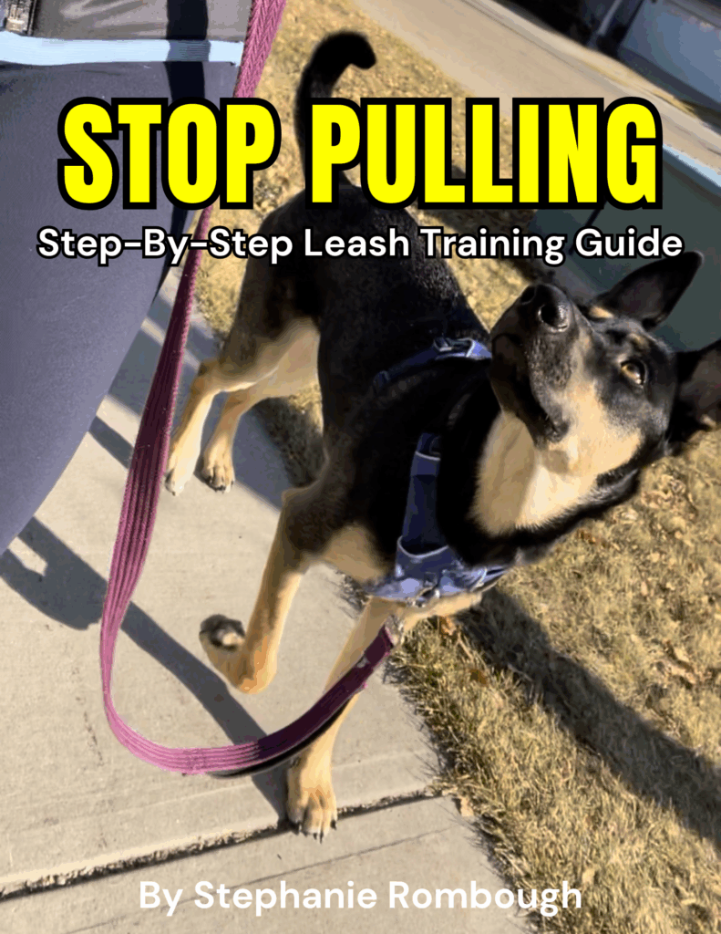 force free leash training program