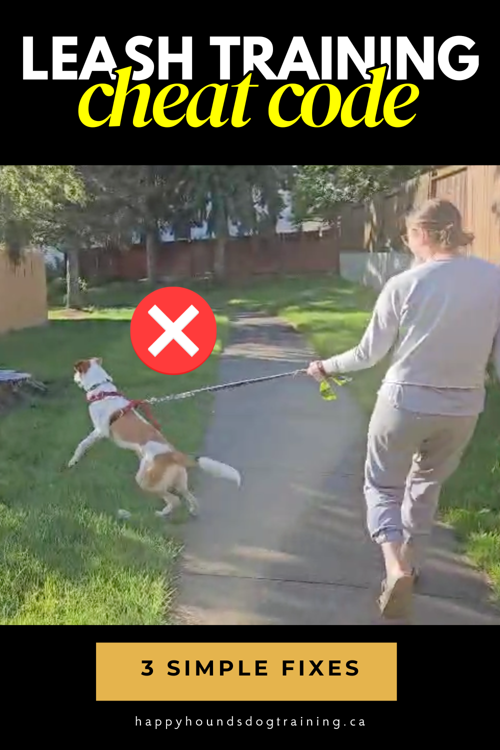 If Your Dog’s Leash Training Falls Apart in the Real World, Try THIS!